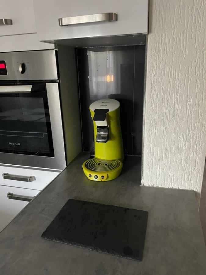 Chaleureux appartement avec entrée indépendante . Wittenheim Esterno foto